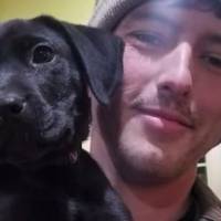 Глухий хлопець взяв з притулку глухе цуценя і навчив його мові жестів