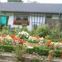 Багато років ми з чоловіком відкладали гроші. Хоча вже давно не молоді, але наша мрія здійснилася: тепер у нас є будинок біля моря.