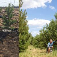 7 років тому тут було звалище. А тепер живуть зайці та фазани – завдяки 1 людині!