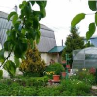 На нашому весіллі мама чоловіка не була присутня, сказала, що в неї є кури і корови, яких вона не може залишити, щоб поїхати в місто на реєстрацію шлюбу власного сина.