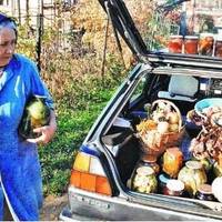 Коли на весіллі грали музики, а люди танцювали та веселилися, то свекруха голосно всім розповідала скільки їй коштувало те порося, яке вона нам виростила на весілля.