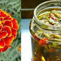 Відвар чорнобривців 100 хвороб лікує! Цвітуть всюди прості квіти, а ціна їм – золото!