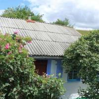 Я вже багато років живу за кордоном, маю тут доброго чоловіка, двоє дітей. Сама я родом з України, з маленького села. Батьків моїх вже давно не стало.