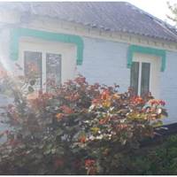 Мої батьки рідко приїжджали до мене в гості, адже дорога далека, та й господарка у них. Але того разу вирішили приїхати, у мене був день народження.