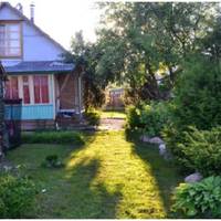 Все літо свекруха на дачі вирощує продукти і робить консервації, які потім віддає нам. А у мене в родині консервацію ніхто не їсть – ні ми з чоловіком, ні тим більше діти.