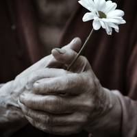 Лиш пізньої ночі здивована сусідка зверне увагу що бабця досі сидить біля тину. Підійшла і дар мови втратила. Не дай Боже нікому до такого дожити.