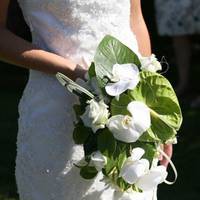 Родичі Оксани готувалися до весілля. Микола покликав її заміж, вже й кільце подарував. Весілля мало бути в вересні. А перед весіллям у Миколи був корпоратив на роботі.