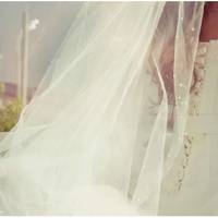 Через кілька місяців залицянь Марія і Василь стояли в залі районного РАЦСу. Маріїне ж щастя затьмарювали лише слова подруги, напередодні весілля: «Не для тебе він. Ти бачила, як його родина живе?