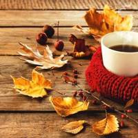 Гороскоп на тиждень з 7 по 13 вересня: Оптимістичні думки – це джерело удачі, добра і тепла, особливо в осінні дні. Зараз важливо перестати думати про погане і не жити минулим