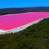 Рожеве Лемурійське озеро — дuво України і немає аналогів в світі! Лікує все, шкіру, суглоби та…