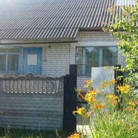 Як чоловіка не стало, Галина сама жила в своїй хаті. Дві доньки давно вже живуть у місті, до села дорогу забули, навіть на свята не являються. Якось вранці Галина проснулася і відчула недобре, вона в