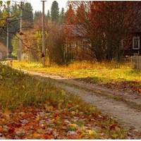 Я з дружиною жив досить добре. Мав три корови, трактор, хороший автомобіль. За роки шлюбу у нас з’явилося троє дітей. І тут, після стількох років, приїхала моя сестра. Заявилася в мій дім, як господи