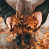 Три знаки Зодіаку, які змінять життя на 180 градусів в останні дні вересня