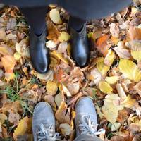 Астрологічний прогноз на жовтень: зірки і планети опиняться в сприятливому положенні і не будуть часто міняти настрій. Їх творча енергія допоможе втілити в життя ваші мрії