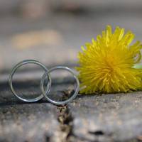 У холодну та сіру залу людей викликали за чергою. Невдовзі зайшла і ця пара: білявий чоловік з паличкою і прудка жінка. — Я не хочу розлучатися, це все дружина задумала.