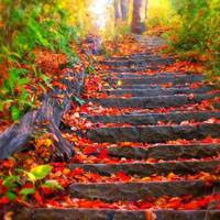 Гороскоп на жовтень: Близнюків чекає кохання, а Стрільців – грошовий прибуток