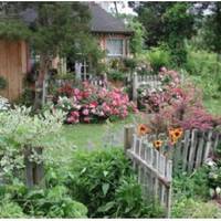 Якось до Надії прийшов сусід і запропонував купити у неї шмат городу: «Ти – одна, скільки тобі треба? А в мене п’ятеро дітей». Надя вагалася. З одного боку, що батьки сказали б? Вони ж усе життя труди