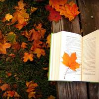 Знаки Зодіаку, які казково розбагатіють у жовтні. І для цього Всесвіт посилає безліч можливостей