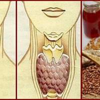 Змішайте по одній склянці гречаної крупи, волоських горіхів і меду!