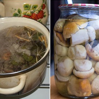 Рецепт маринаду для консервації будь-яких грибів. Виходять особливі та дуже смачні