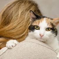 Я ще відразу зрозуміла, що щось тут нечисто. Не просто так свекруха мого чоловіка на дачу покликала, типу допомогти траву покосити.