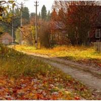 Все село знало, що Галина з Петром в Польщу на заробітки їдуть разом, як чоловік та дружина, нікого не соромлячись. Олесь прокинувся рано, бо сьогодні мала приїхати його Галина.