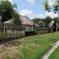 Ми жили бідно. Навіть не було грошей, щоб викопати власну криницю, ходили за водою до сусідів. А потім приїхала з-за кордону мамина давня подруга. Привезла великі гроші, почала будувати хату.