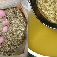 Настій з насіння кропу, який допоможе позбутися високого тиску, та проблем з нирками