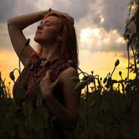 Сестра та мама говорять Світлані, що від такого чоловіка, як у неї бігти потрібно, а вона вважає себе щасливою жінкою. Якось подруга Світлани посварилася зі своїм чоловіком, зателефонувала пізно ввеч