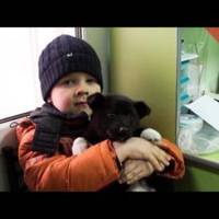 6-річний Іванко разом з татом врятували понад 100 кішок і собак!