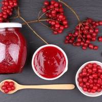 Калина від 100 хвороб! Користь і шкода калини, поради щодо застосування