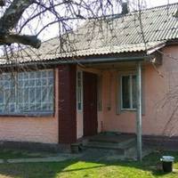 Свекруха якраз повернулася з-за кордону. Я про те не знала. Вона стала бігати по квартирі, дорікати немитим посудом. Заглянула в порожній холодильник. Я її такою ніколи не бачила.