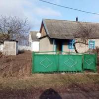 Сватати мене не спішили. Тому, коли тракторист Василь покликав мене заміж, я погодилася відразу. Так почалося моє заміжнє життя в селі. Одного вечора, коли Василь прийшов з роботи, я поставила вечерю