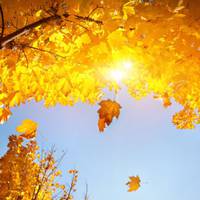 У листопаді три знаки Зодіаку зможуть розпочати життя з нової сторінки