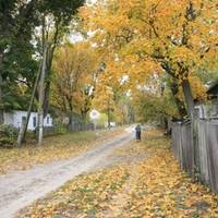 За кордоном я живу вже дуже довго. Вийшла тут заміж за хорошу людину, маю двоє діток. Народилася я в маленькому селі в Україні. Приїжджати до рідних не могла, бо жилося не просто.