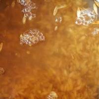 Жахливі болі в суглобах вилікував овес – мій досвід лікування!