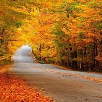 Гороскоп на листопад: чим цей місяць стане особливим для кожного зі знаків Зодіаку і які сюрпризи підготував