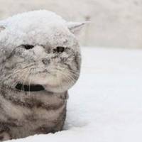 Синоптики розповіли, яка зима чекає нас в цьому році!