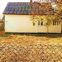 Ми з чоловіком пенсіонери. Маємо свій будинок, город, невелике господарство. Останнім часом син та донька часто до нас приїжджають відпочивати сім’ями.