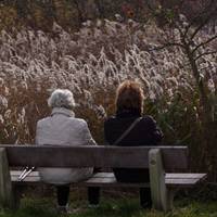 В той день у тітки моєї був день народження, коли гості розійшлися по домах, вона попросила мене порахувати подаровані гроші. Грошей було дуже багато, але моя тітка була незадоволеною тією сумою.
