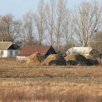 Одного дня я привезла зятя з міста до батьків в село. Володимир був старший за мене на 5 років. Мама дуже зраділа, а тато серйозно засмутився. Та ми ж стали разом жити в місті, там же і весілля зіграл