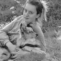 До шлюбу я працювала на хорошій роботі, заробляла гарні гроші. Встигла відкласти велику суму. Мій чоловік теж добре заробляє, тому коли після весілля, він сказав, щоб я сиділа в дома, я з радістю пого