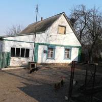 Я народилася в селі і так хотіла покинути батьківську хату. Вийшла заміж в місті, мала хорошого чоловіка. Вийшовши заміж, мені захотілося дітей.