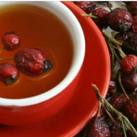 Шипшина — проганяє застуду, зміцнює організм та лікує нирки. Рецепти відомої травниці.