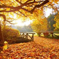 Астрологи назвали чотири знаки Зодіаку, яких чекає неймовірна удача в 2021 році