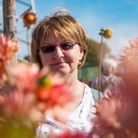 Я самотня давно немолода жінка. У мене немає ні чоловіка, ні дітей, але є гроші, багато грошей. А є у мене ще рідна сестра. У неї дуже велика сім’я: двоє дітей, троє онуків.