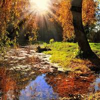 Знаки Зодіаку, які до кінця листопада зможуть кардинально змінити своє життя