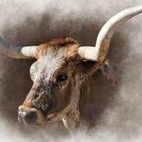 Усього три знаки Зодіаку, які у 2021 році кардинально змінять свою долю