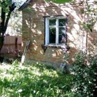 Влітку я востаннє приїхала в село до мами. Ще з порогу вона стала мені дорікати, що я погана донька, мало їм допомагаю, хоча маю дві великі квартири і два дорогих авто.