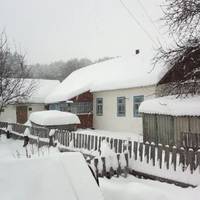 Років 30 тому Марія жила небагато, але щасливо. Такий хороший їй попався Микола, жила, як у казці, мали троє діток. Несподівано її чоловіка не стало, і залишилася Марія в 50 років одна.